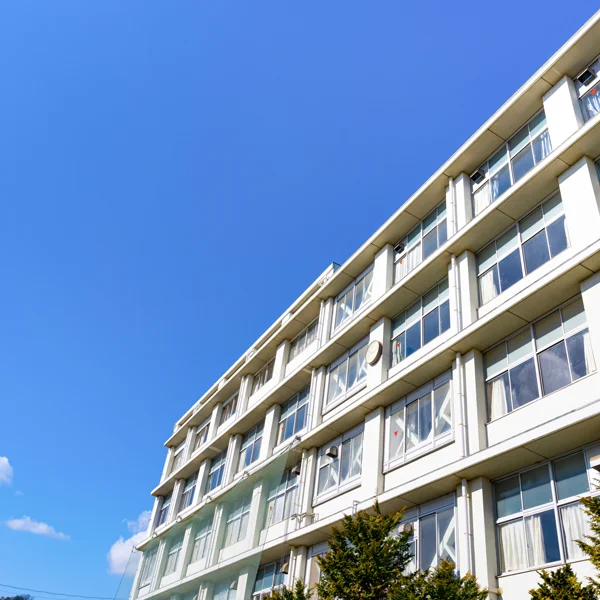 『布を使ったものづくり』のカルトナージュキットの特長3=授業用だけじゃない